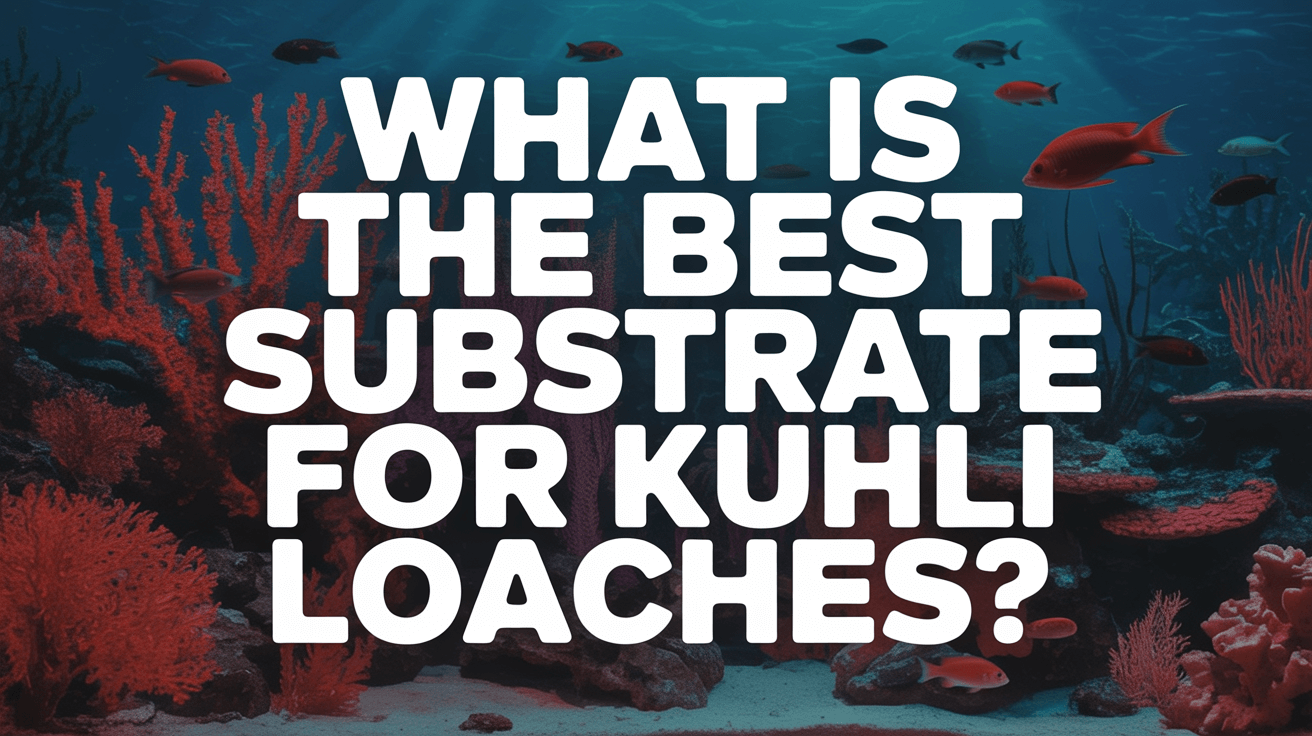 Kuhli Loaches substrate