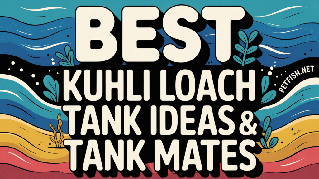 Best Kuhli Loach Tank Ideas & Tank Mates