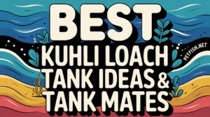 Best Kuhli Loach Tank Ideas & Tank Mates