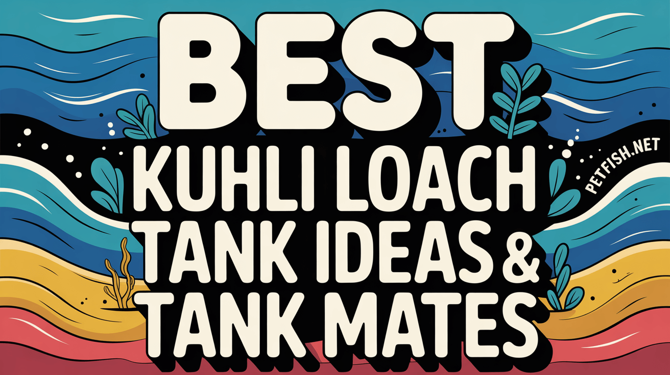 Best Kuhli Loach Tank Ideas & Tank Mates