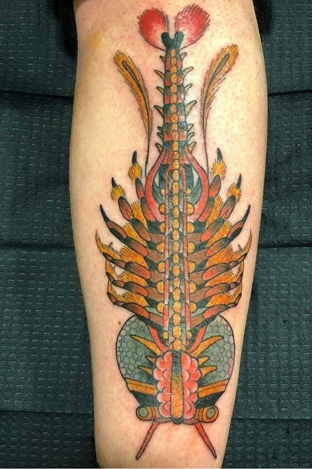 Brine Shrimp tattoo ideas for forearm