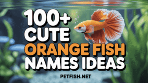 Cute ORANGE Fish Names Ideas list