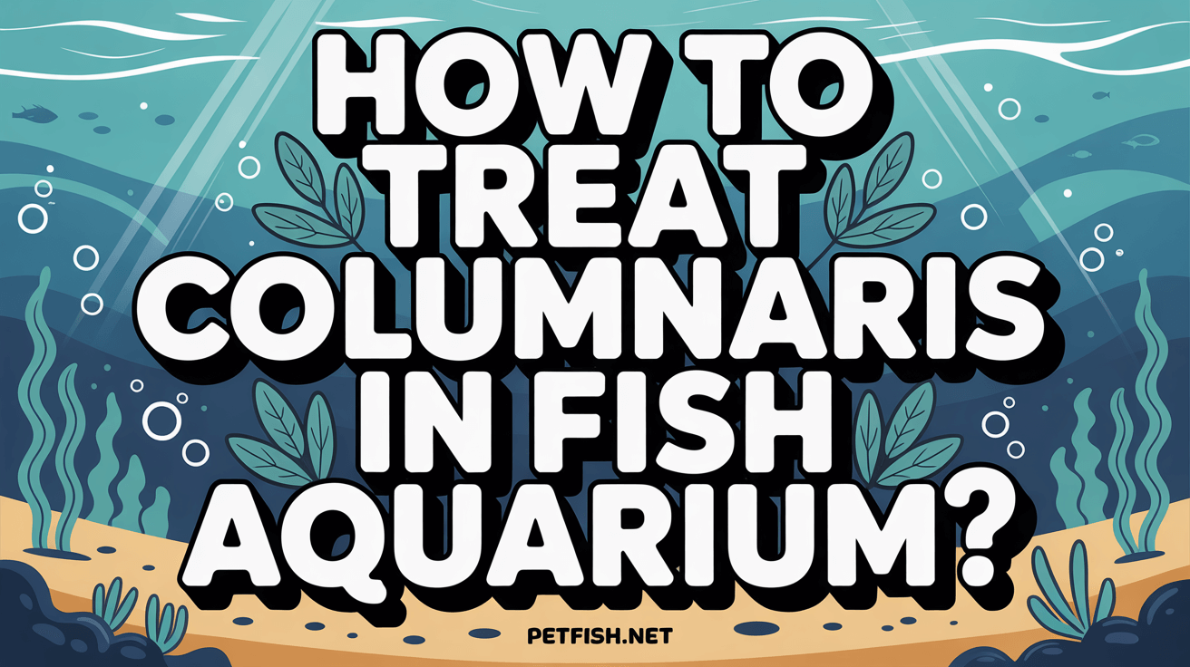 How To Treat Columnaris in Fish Aquariumpng