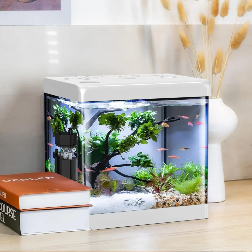 Fish Tank Ideas for Small & Big Apartments [2025]