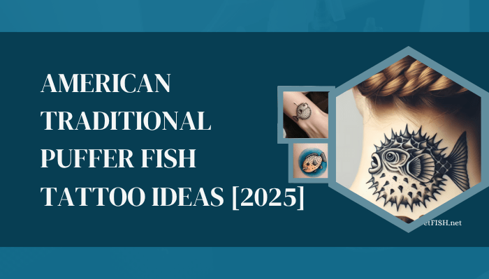 American Traditional Puffer Fish Tattoo Ideas