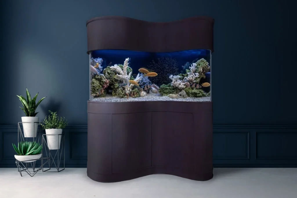 Fish Tank Ideas for Small & Big Apartments