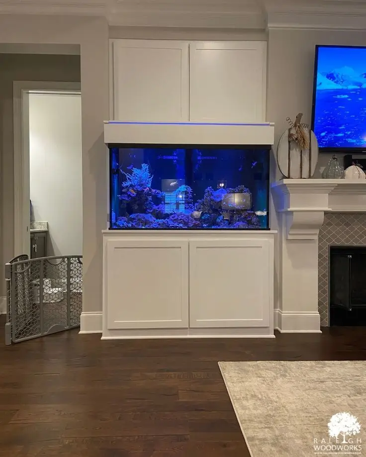 Fish Tank Ideas for Small & Big Apartments
