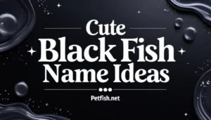 Cute Black Fish Name Ideas