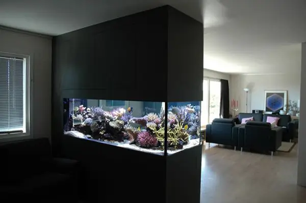 Fish Tank Ideas for Small & Big Apartments
