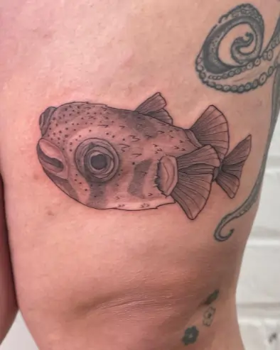 Dog Face Puffer Fish Tattoo Idea