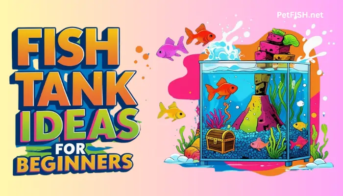 Fish Tank Ideas for Beginners