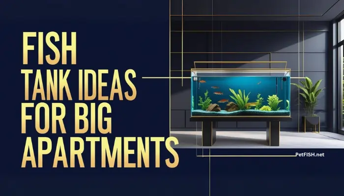 Fish Tank Ideas for Big Apartments