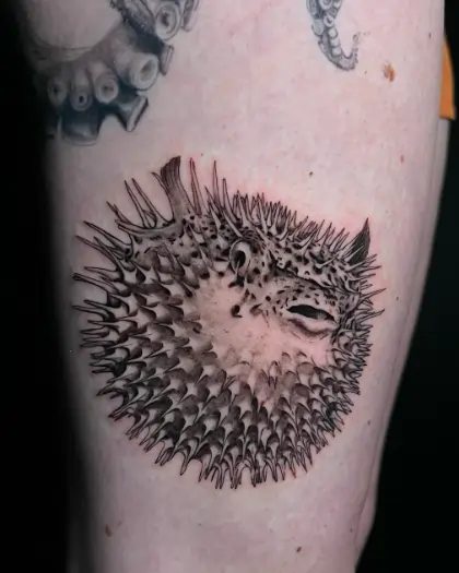 Realism Puffer Fish Tattoo Idea