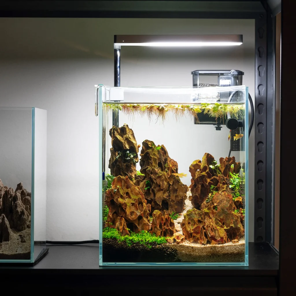 Fish Tank Ideas for Small & Big Apartments [2025]