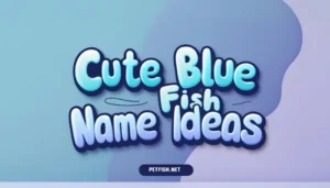 Cute Blue Fish Name Ideas