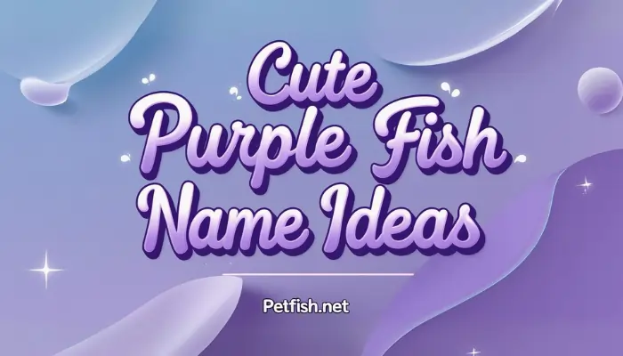 Cute Purple Fish Name Ideas