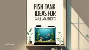 Fish Tank Ideas for Small Apartments