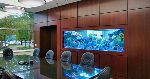 Fish Tank Ideas For Office
