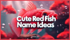 Cute RED Fish Name Ideas