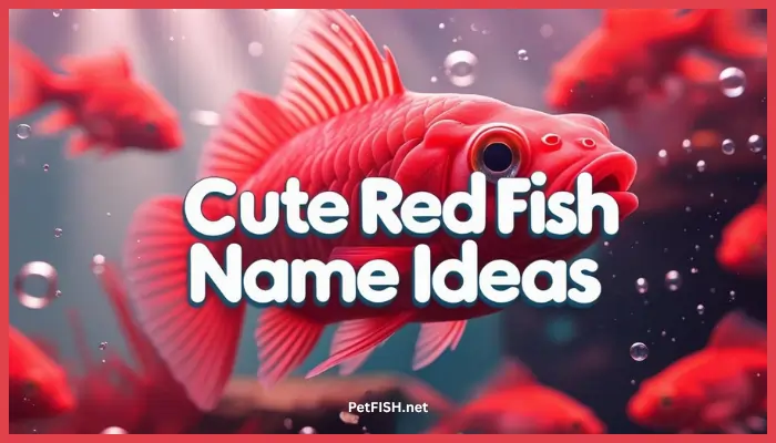 Cute RED Fish Name Ideas
