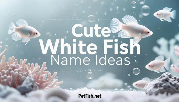 Cute WHITE Fish Name Ideas