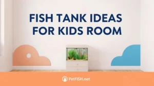 Fish Tank Ideas For Kids Room