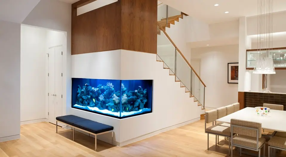 Fish Tank Ideas for Living Room 