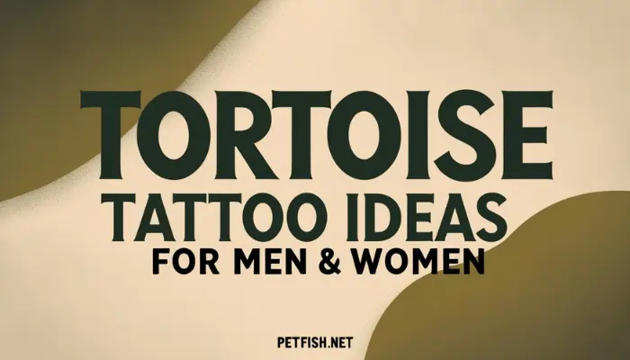 Tortoise Tattoo Ideas for Men & Women