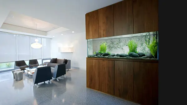 Fish Tank Ideas For Office