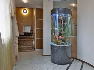 Fish Tank Ideas for Living Room 