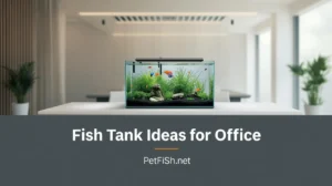 fish tank ideas for office