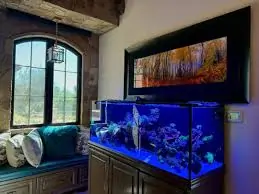 Fish Tank Ideas for Living Room 