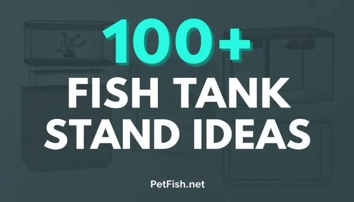 100+ Fish Tank Stand Ideas