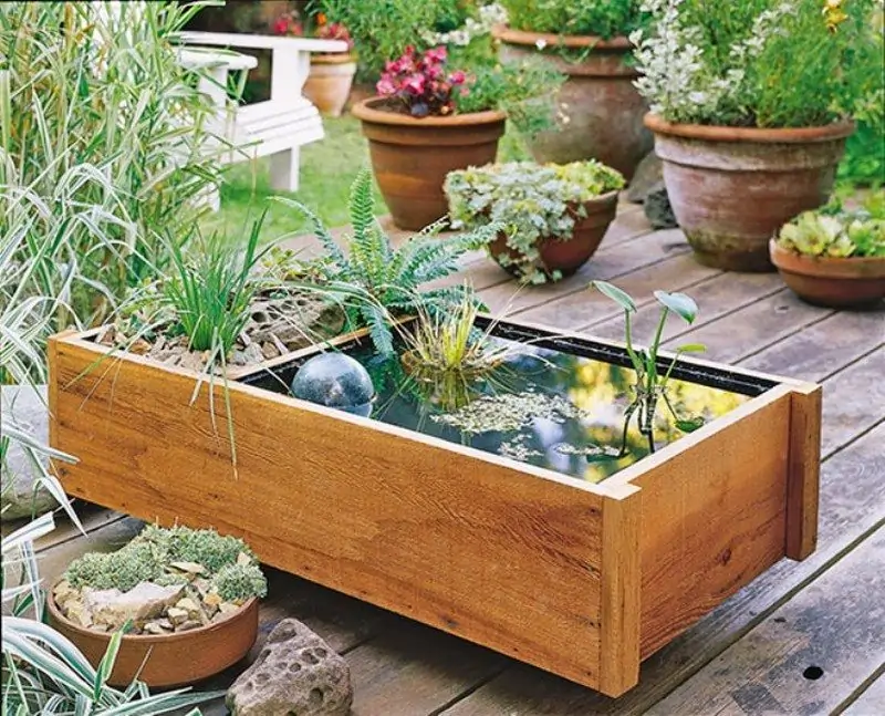 Fish Tank Ideas For Garden