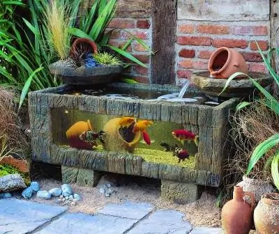 Fish Tank Ideas For Garden