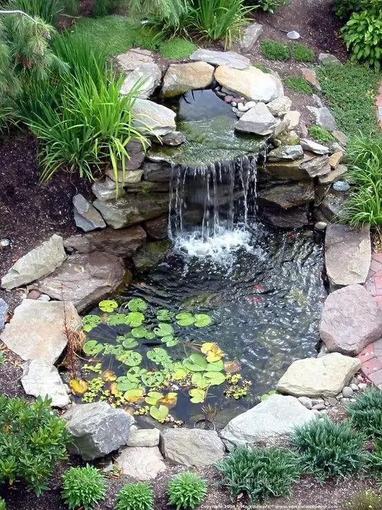 Fish Tank Ideas For Garden
