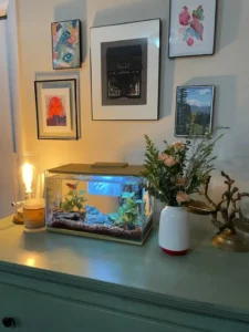 Fish Tank Ideas for Bedroom