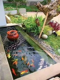 Fish Tank Ideas For Garden