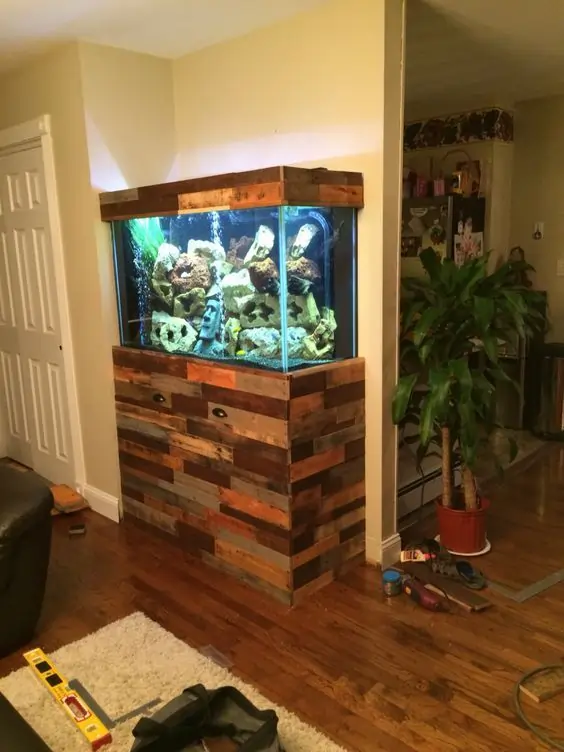 Fish Tank Ideas for Bedroom