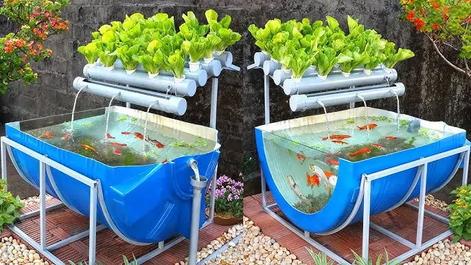 Fish Tank Ideas For Garden