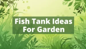 Fish Tank Ideas For Garden