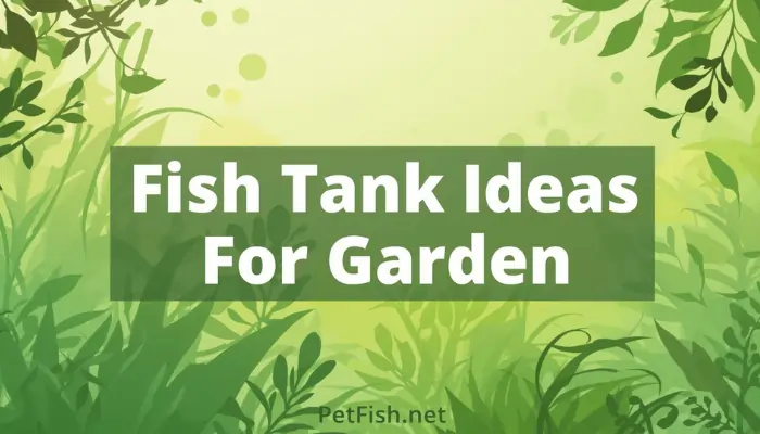 Fish Tank Ideas For Garden