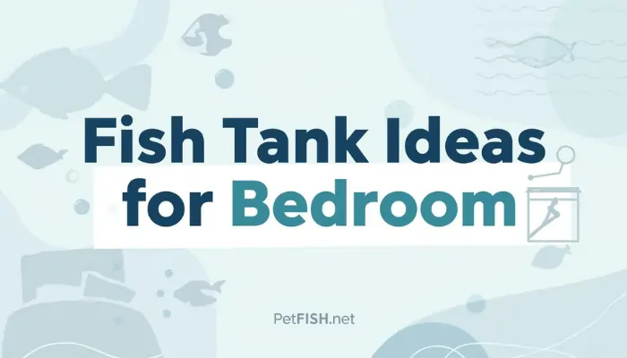 Fish Tank Ideas for Bedroom