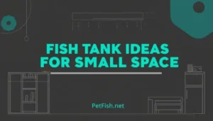 Fish Tank Ideas for Small Space