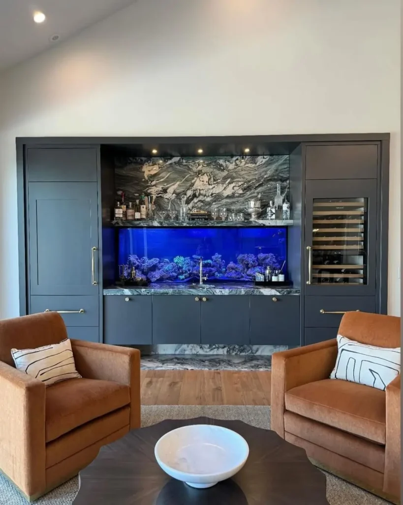Black Moor Fish Tank Ideas