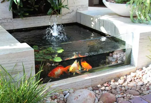 Fish Tank Ideas For Garden