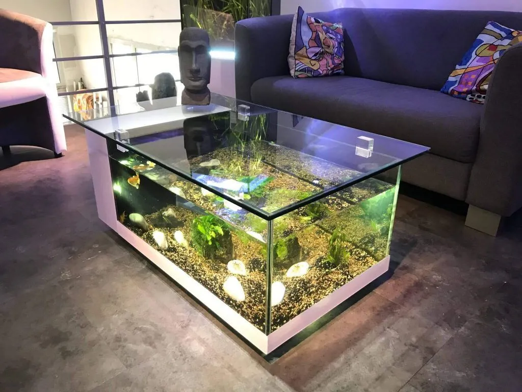 Fish Tank Ideas for Small Space