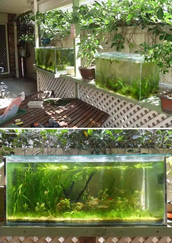Fish Tank Ideas For Garden