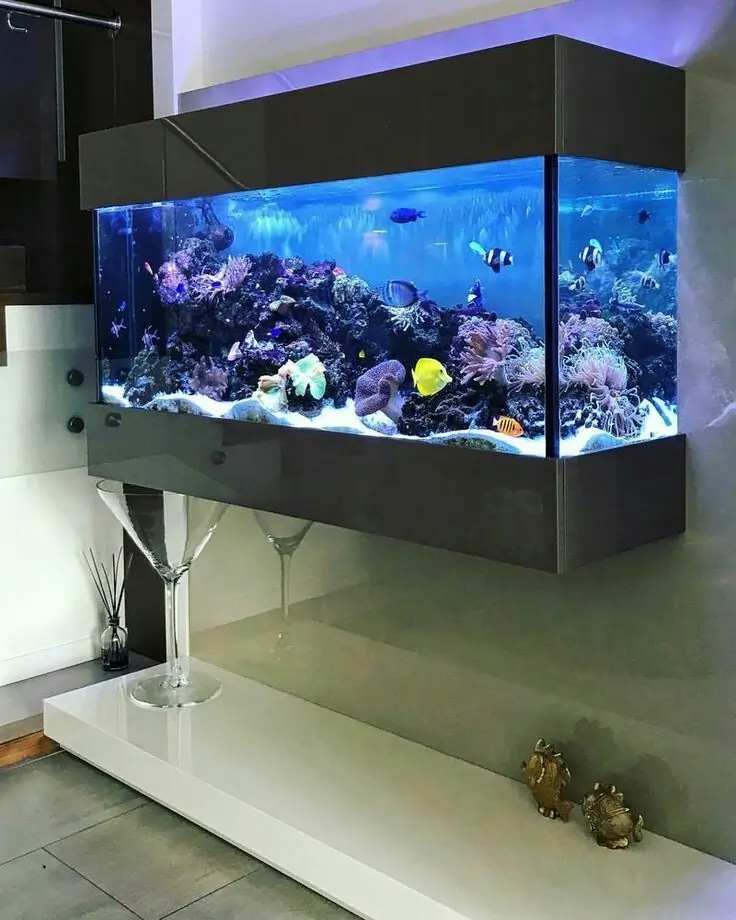 Fish Tank Ideas for Small Space