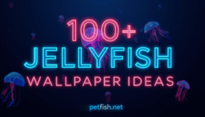 100+ JellyFish Desktop Wallpaper Ideas
